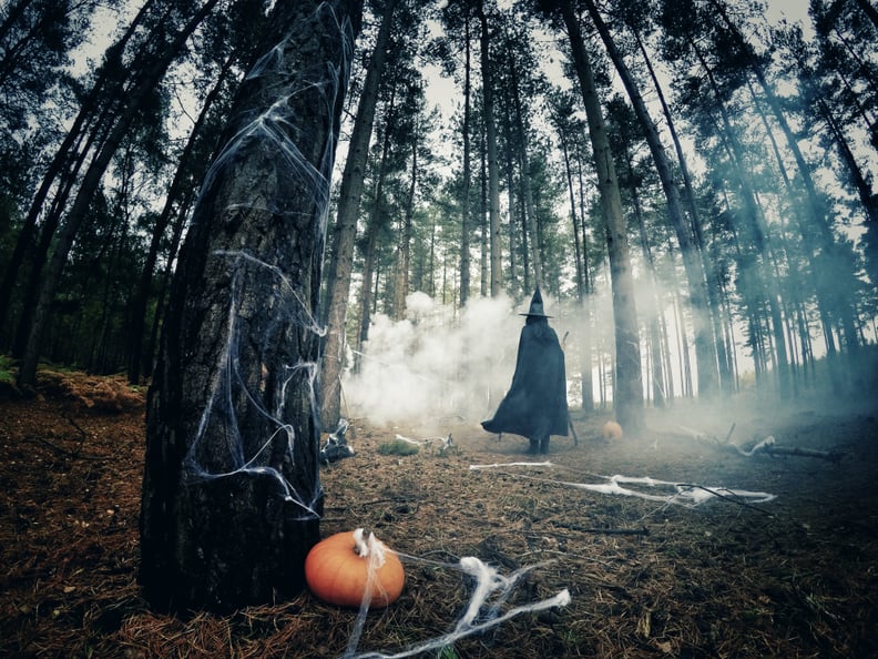 Spooky Forest Zoom Background