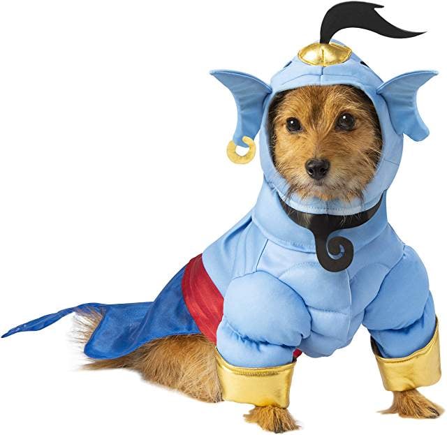 Genie Dog Halloween Costume