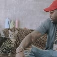 Watch Rapper 2 Chainz Play With $165,000 Worth of Kittens, Because Why Not?