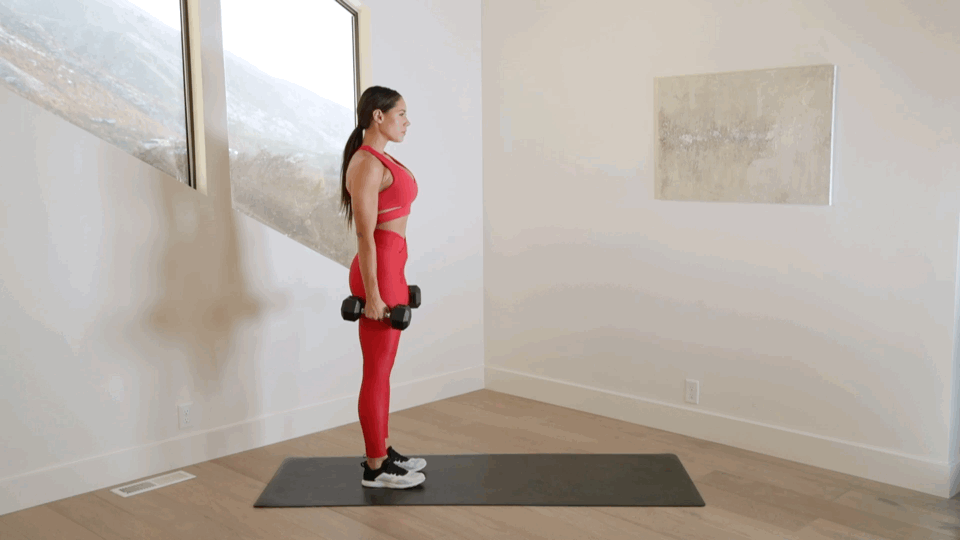 Circuit 1, Exercise 3: Alternating Lunge With Dumbbell
