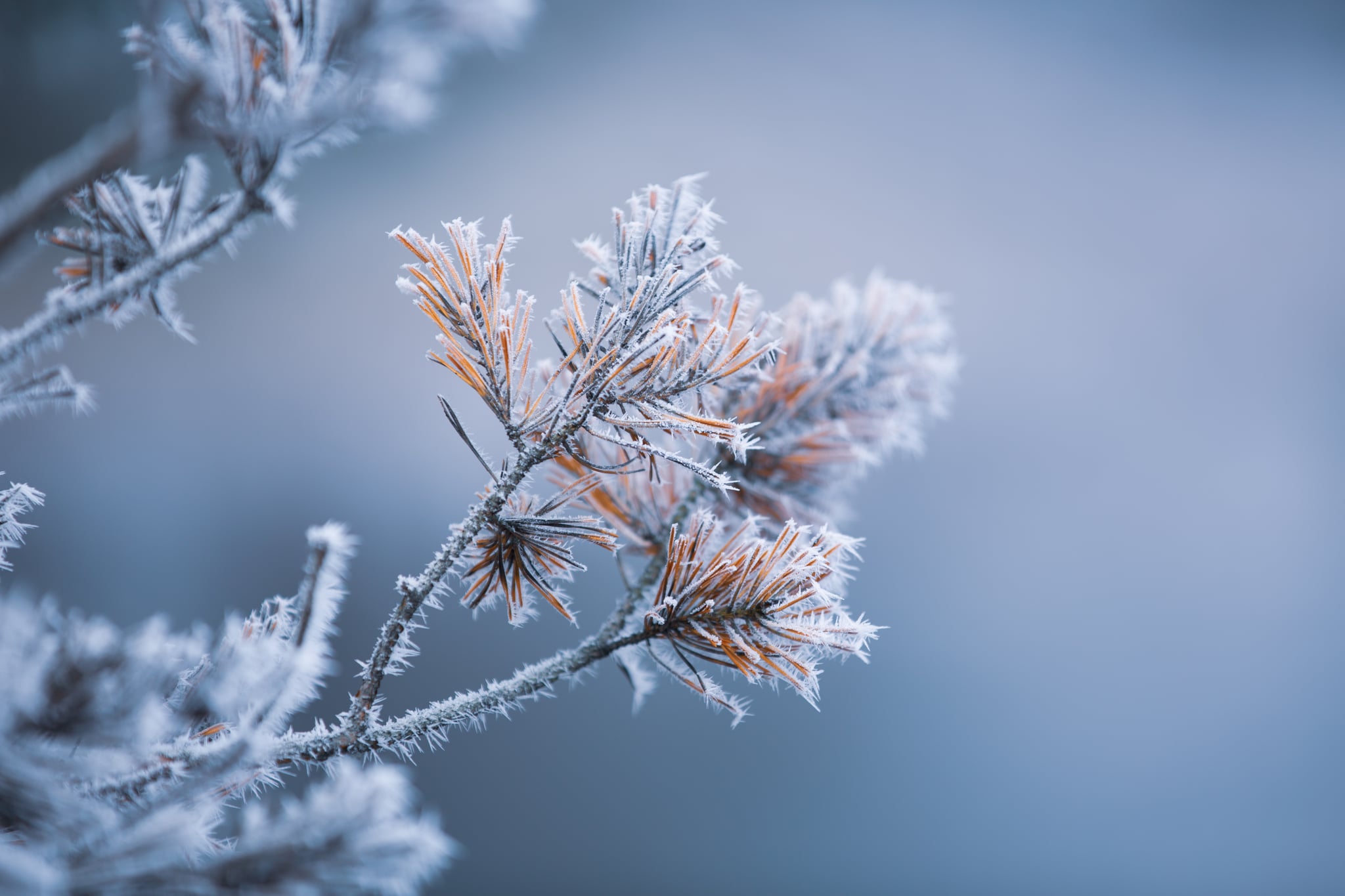 15+ Beautiful Photos of Winter | POPSUGAR Smart Living