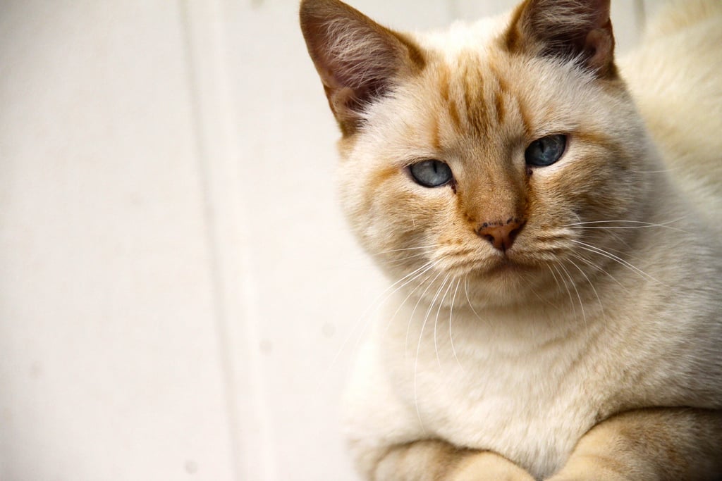 "Don't make me say it. Don't even make me say it."
Source: Flickr user martie1swart