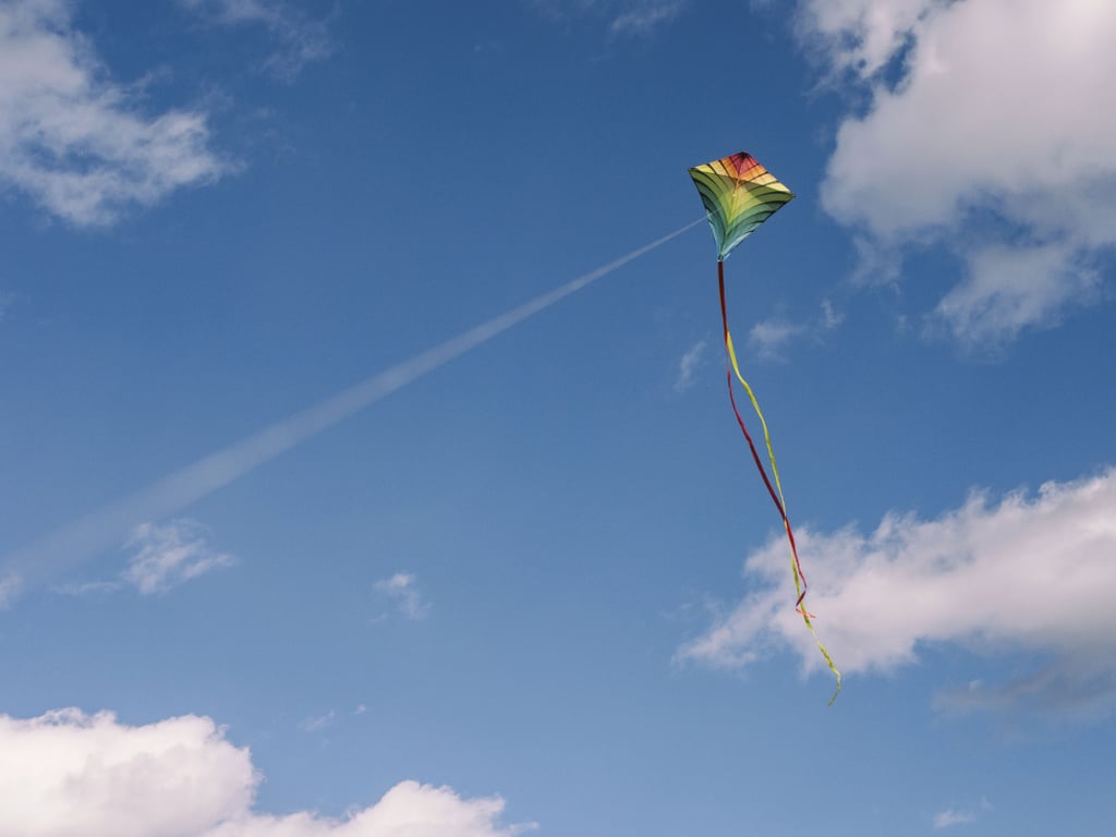 Fly a kite.