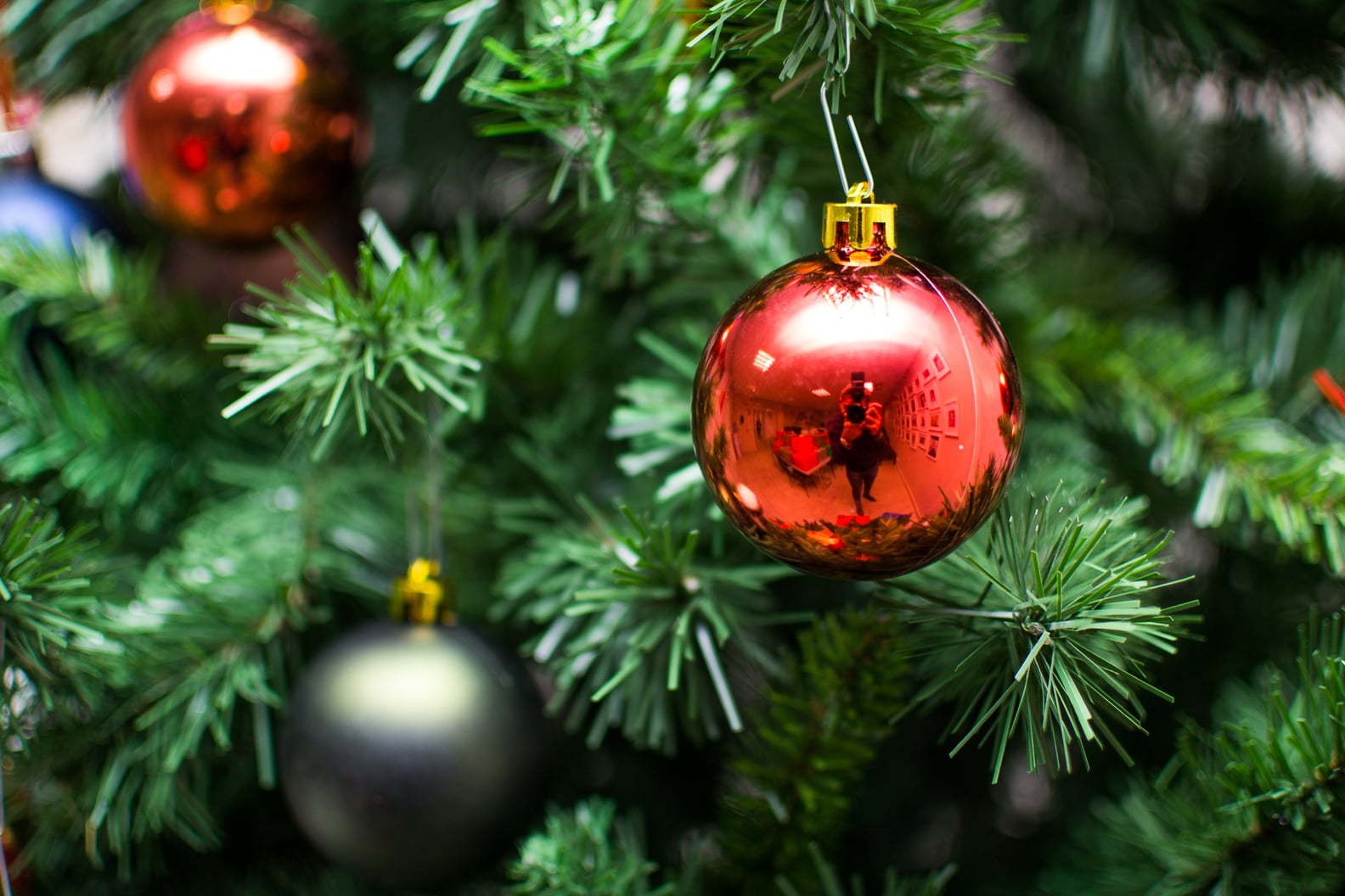 How to Keep a Christmas Tree Alive | POPSUGAR Home