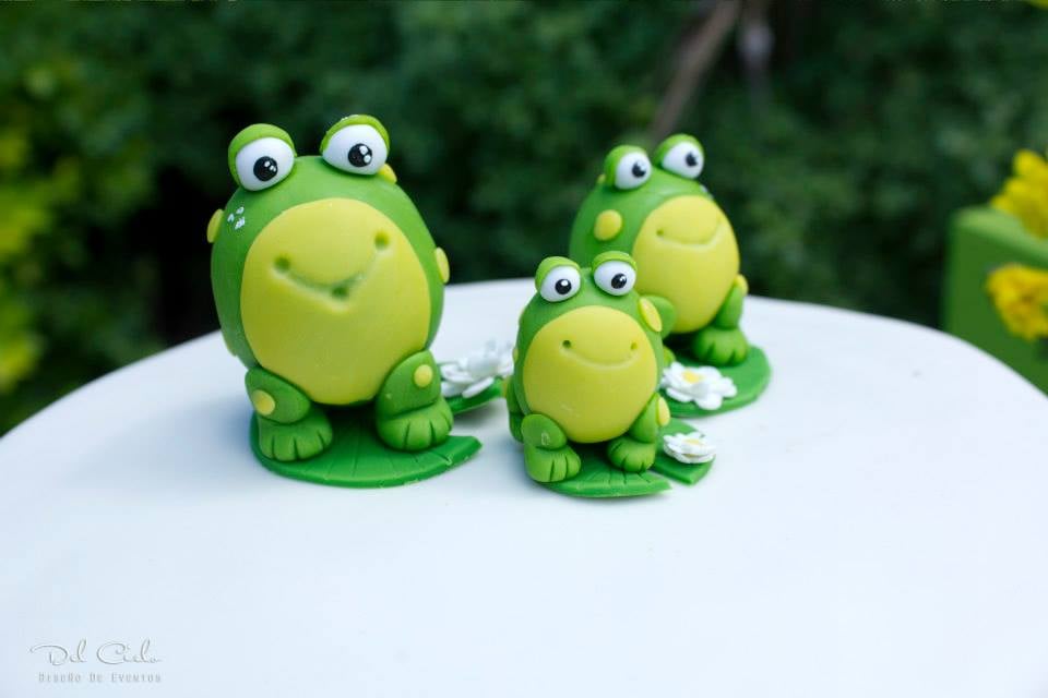 Frog Leap Day Birthday Party