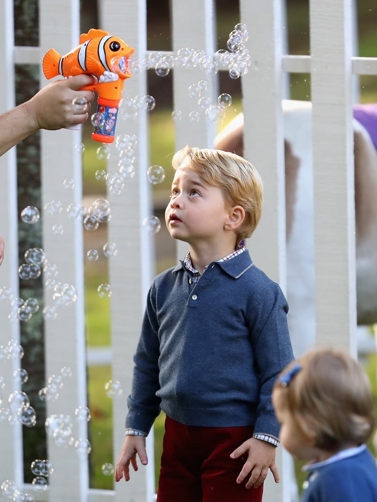 Best Pictures of Prince George and Princess Charlotte | 2016