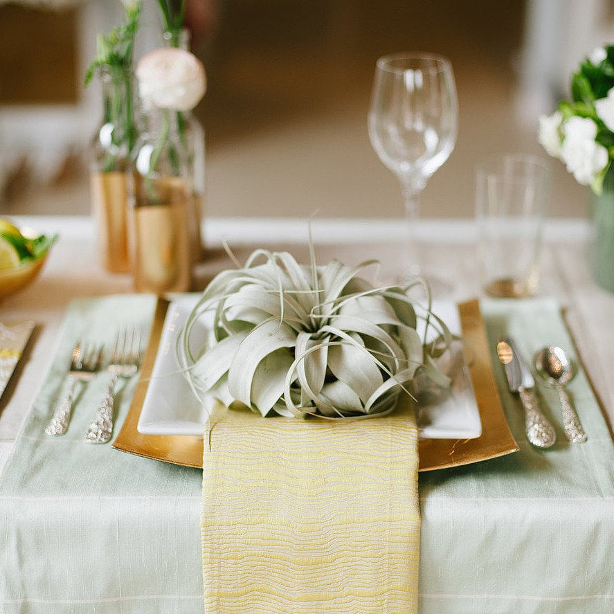 Could it be something green is the new something blue? No matter the shade, incorporating green into your color palette can be used to bring a sense of fresh sophistication to a wedding. Whether you're looking to use green as an updated neutral or for a burst of color, there are endless possibilities. Inspired by real weddings, POPSUGAR Home came up with  seven ideas to use the lucky hue on your big day!
Photo by  Christine Sargologos Photography via Style Me Pretty