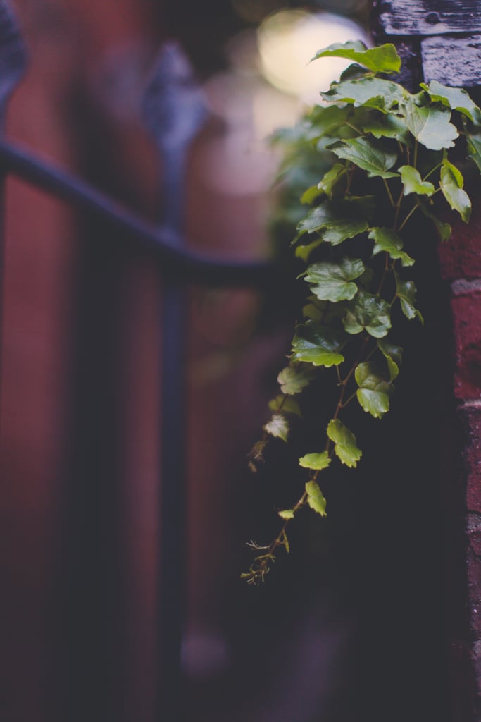Boston Engagement Photos