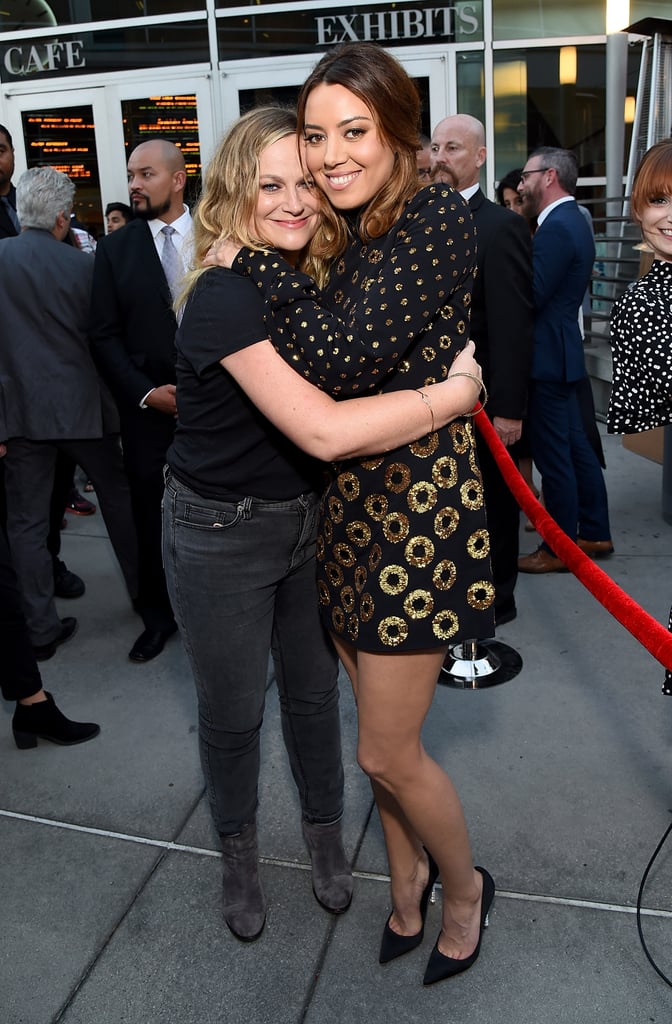 Parks and Recreation Reunion at Ingrid Goes West Premiere