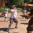 This Man's Epic Dance-Off With a Bear at Disney's Animal Kingdom Will Make You LOL