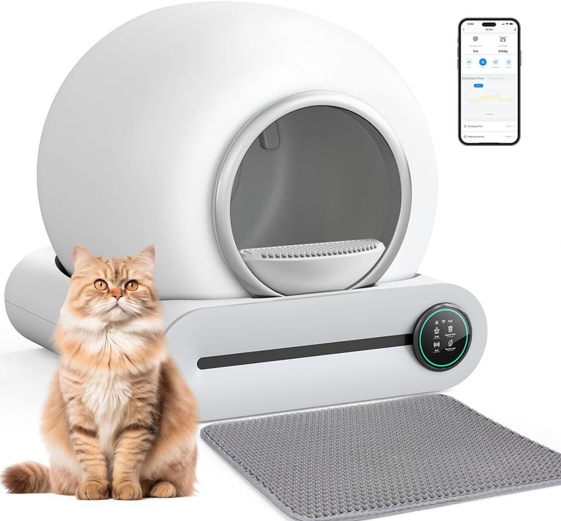 Best Self-Cleaning Litter Box With Space Utilization