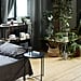 Biophilic Design Explained, Plus Room Inspo