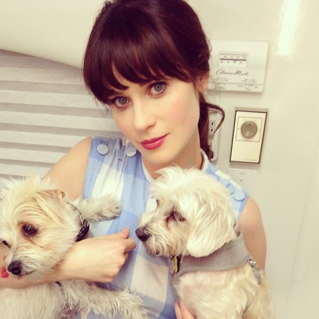 Zooey Deschanel cuddled with puppies for a day of love.
Source: Instagram user zooeydeschanel