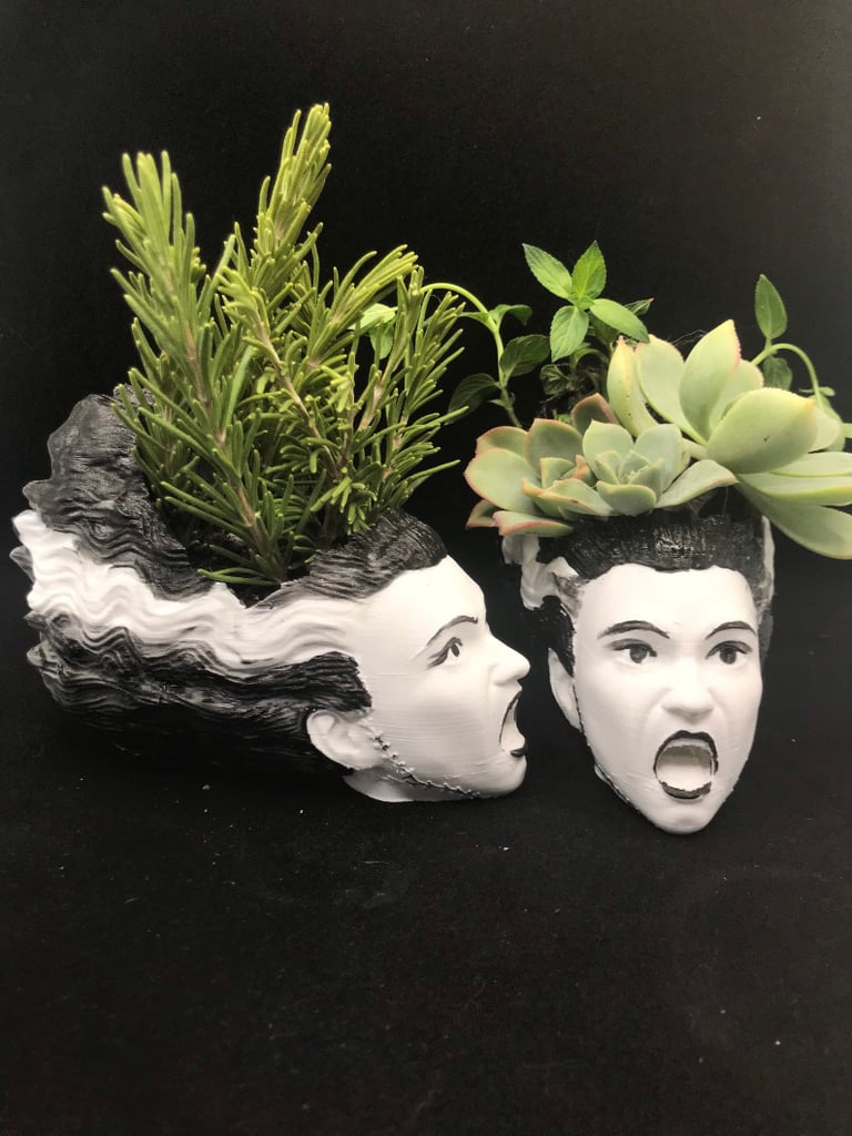 Frankenstein's Bride Halloween Succulent Planter