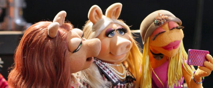 The Muppets New ABC Show Details