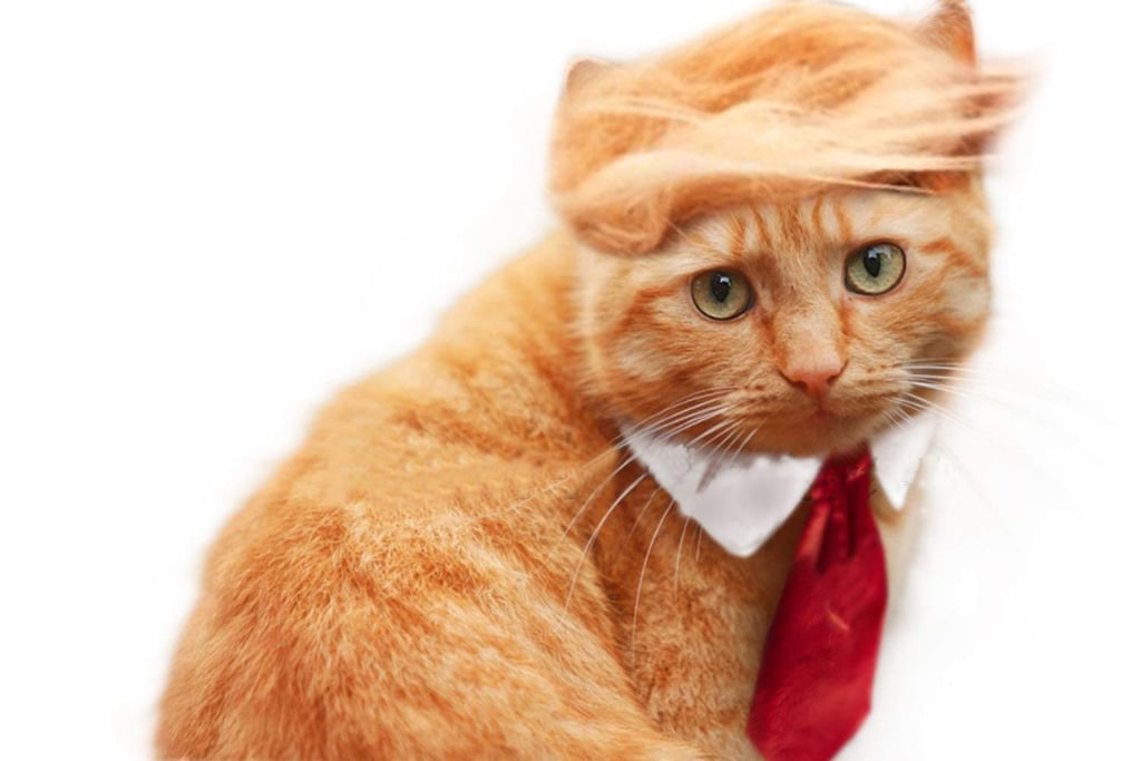 Trump Cat Costume