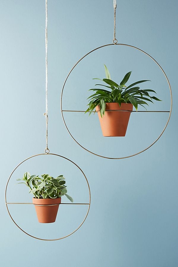 Hanging Geo Planters