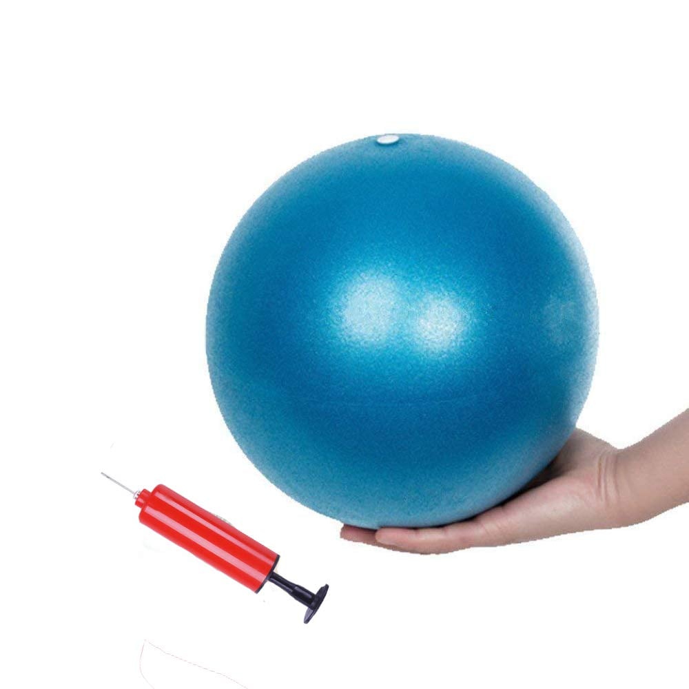 Mini Exercise Barre Ball