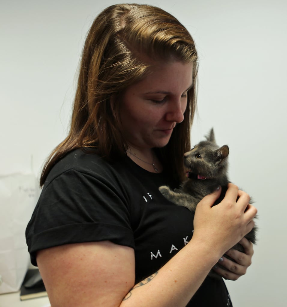 ASPCA's Adoptable Kittens