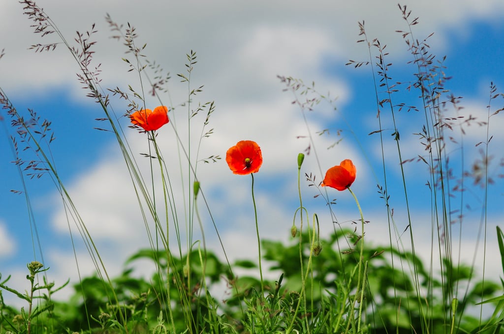 Good Things That Happen After Divorce