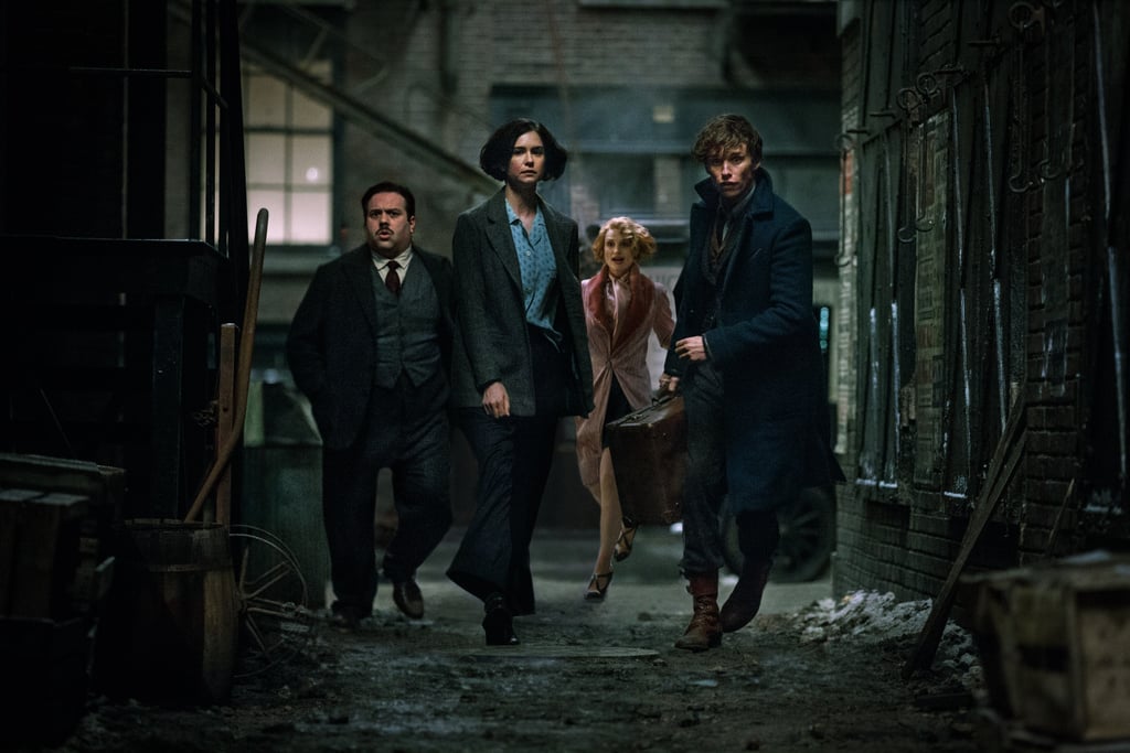 Fantastic Beasts and Where to Find Them Pictures