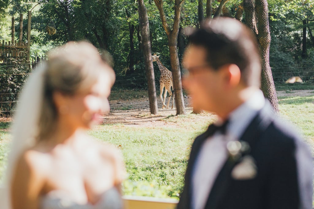 Bronx Zoo Wedding