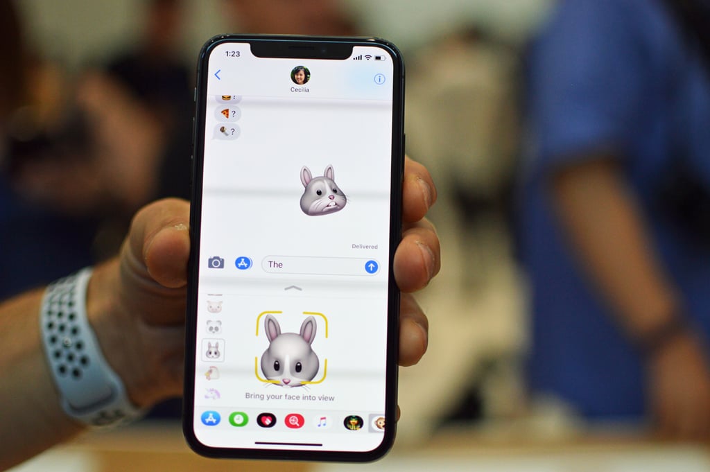 To get started with Animoji, the iPhone X will need to identify your face.