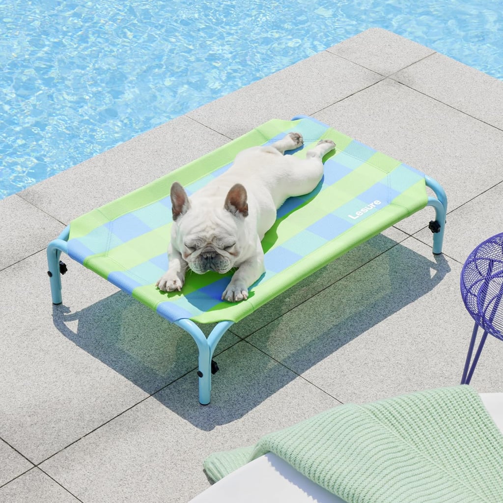Elevated Dog Beds to Help Your Pup Beat the Summer Heat