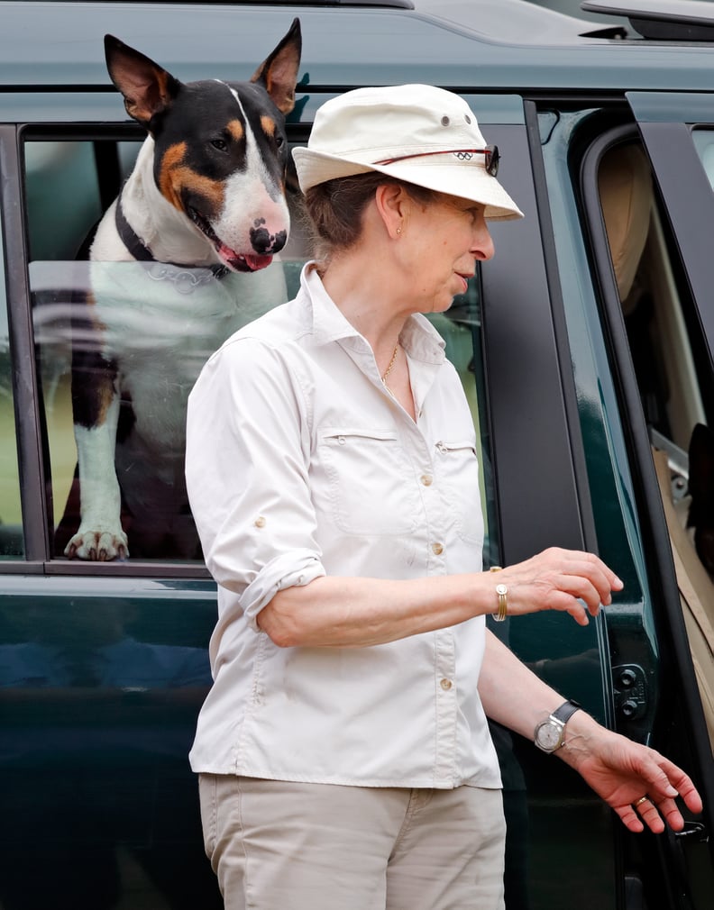 Princess Anne With Her English Bull Terrier