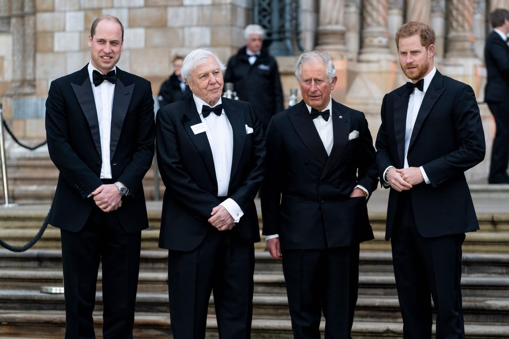 Harry, William, and Charles at Our Planet Premiere 2018