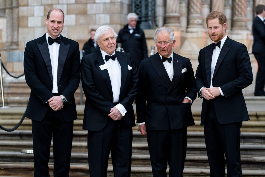 Harry, William, and Charles at Our Planet Premiere 2019