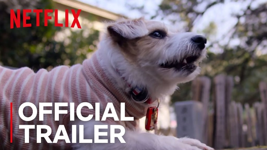 The Official Trailer For "Dogs"