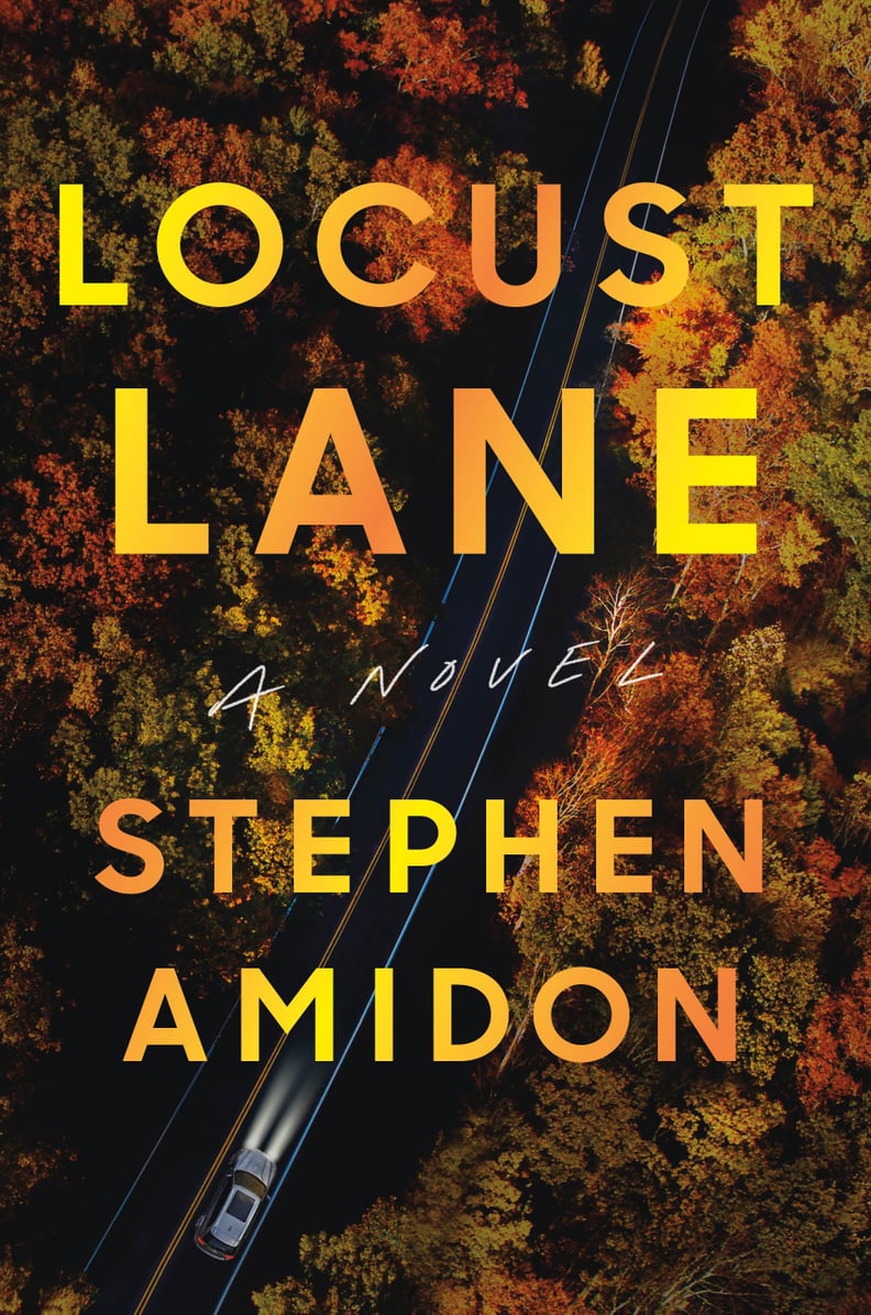 "Locust Lane" by Stephen Amidon