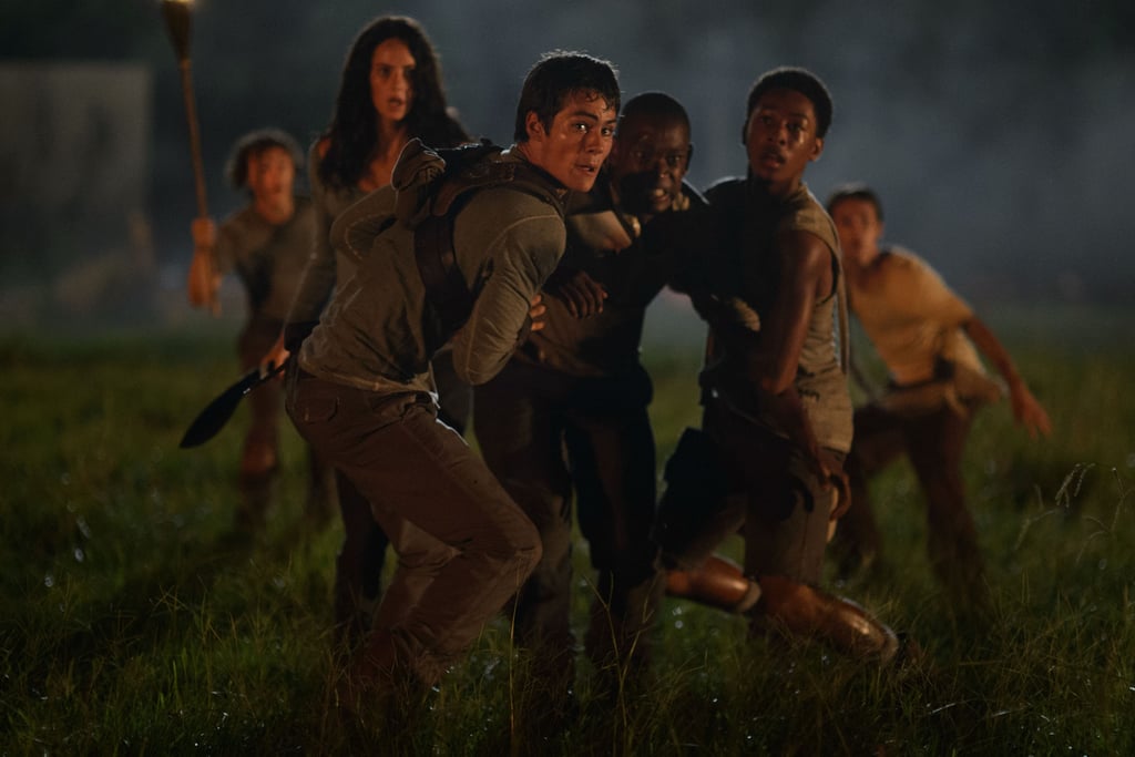 The Maze Runner