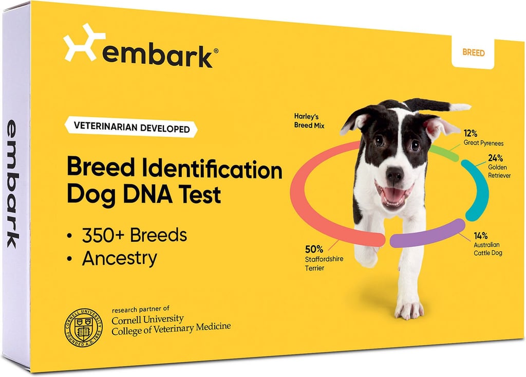 A Doggie DNA Test: EMBARK Breed Identification DNA Test for Dogs