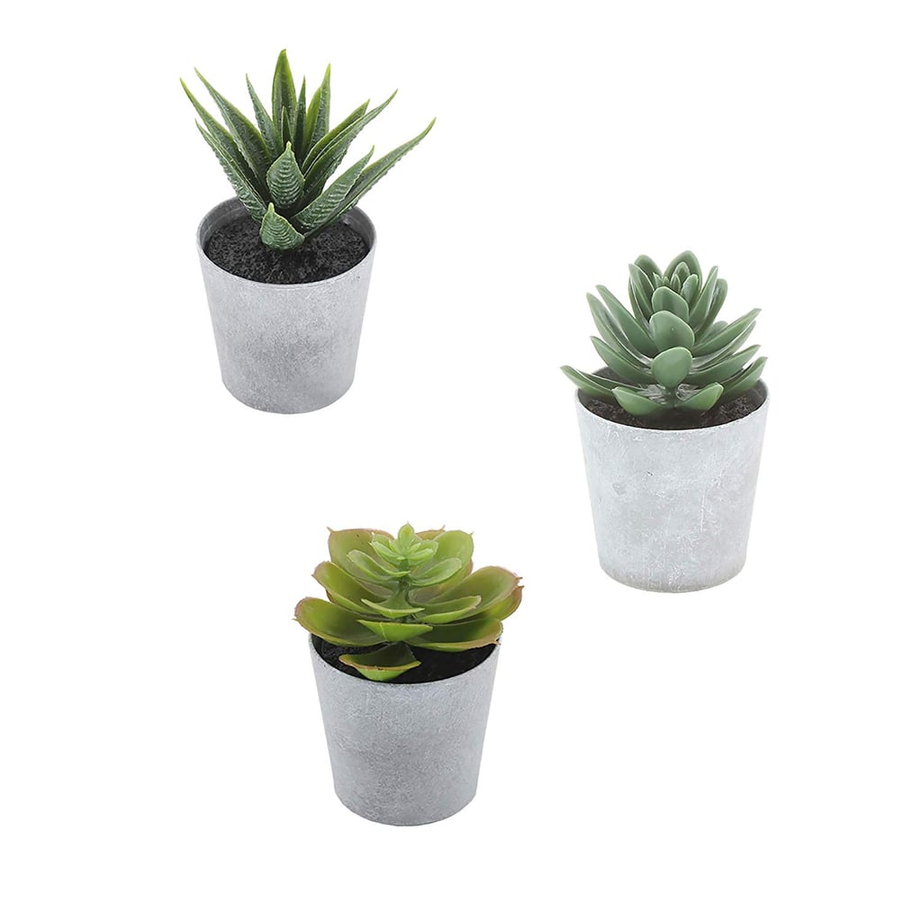 Artificial Succulents