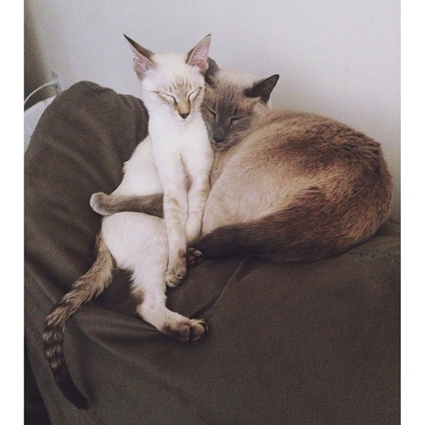 Nap Time
