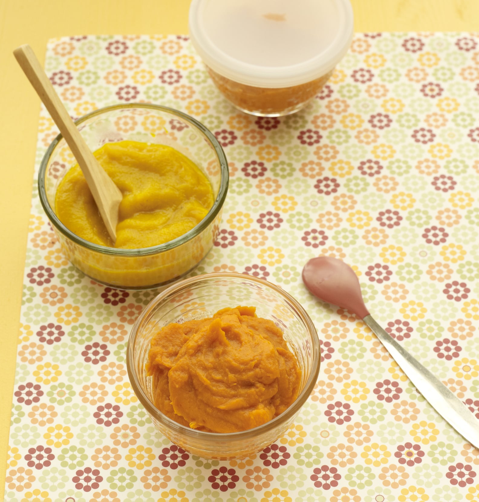 Baby Food Puree Recipes | PS Family