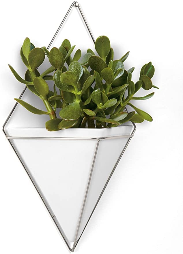 Umbra Trigg Hanging Planter Vase & Geometric Wall Decor