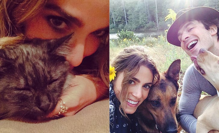 Nikki Reeds New Cat Photo Popsugar Celebrity 