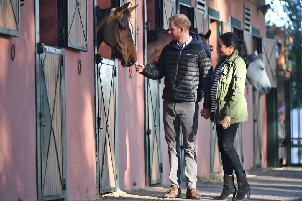 Meghan and Harry With Horses on Morocco Tour February 2019