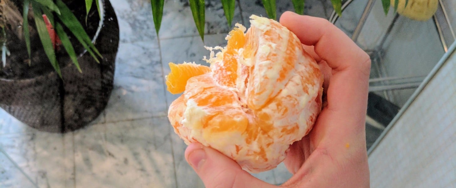 What Is the Shower Orange Challenge? POPSUGAR Tech