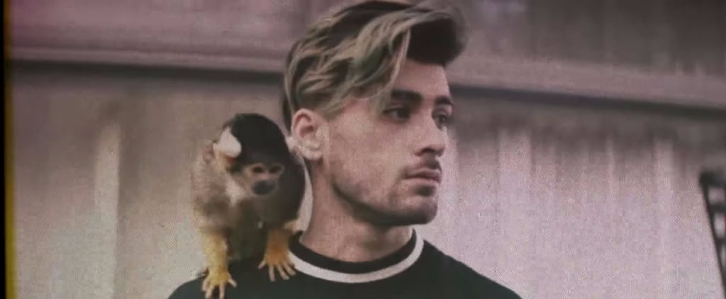 Zayn Malik's "Still Got Time" Music Video