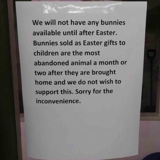 Parents Can't Buy Bunnies Until After Easter