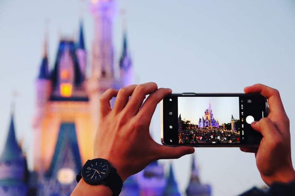 Watch the lighting of Sleeping Beauty Castle.