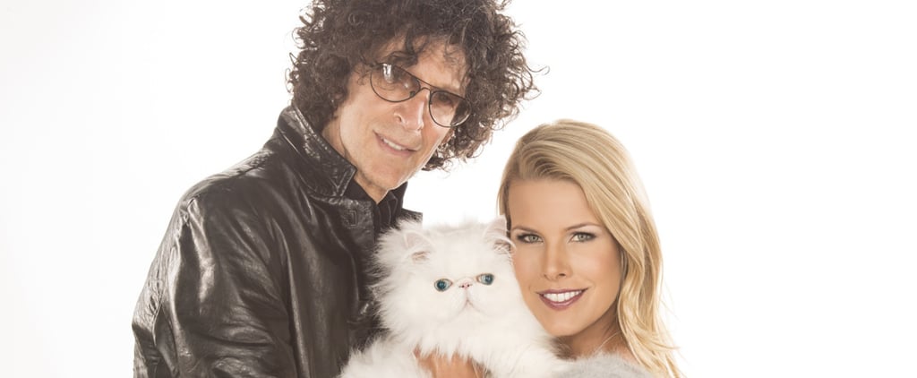 Beth Stern Introduces Her Rescue Cats