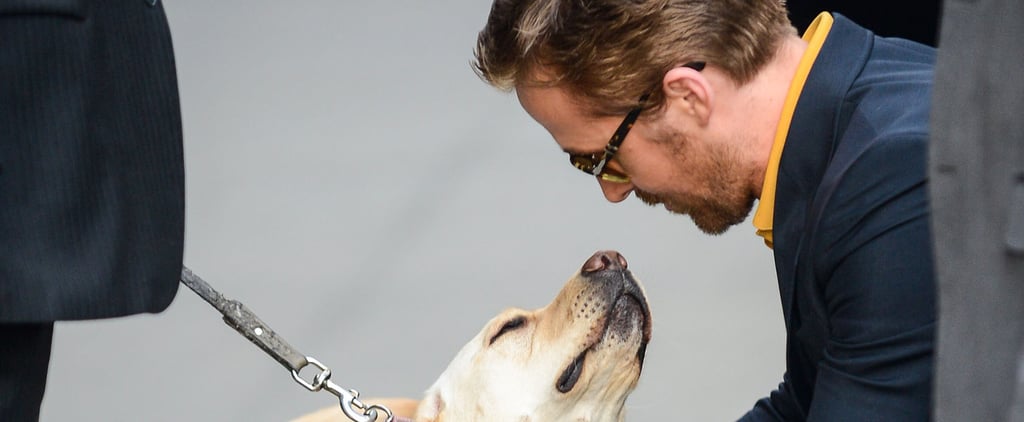 Ryan Gosling Petting Dog in NYC May 2016