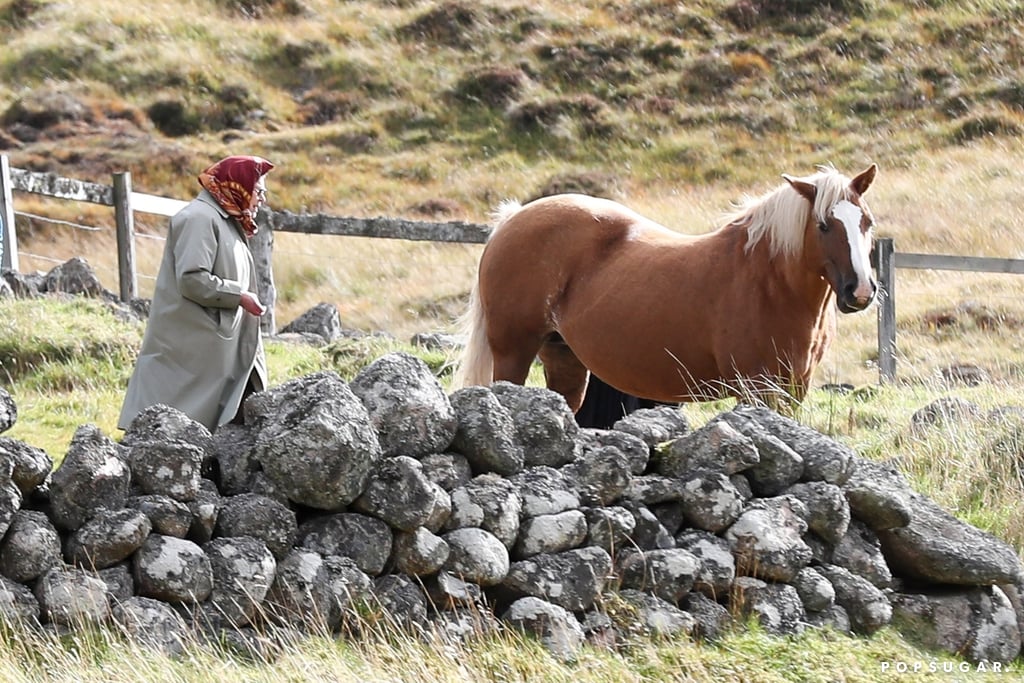 Queen Elizabeth II Feeding Her Horses in Scotland 2018