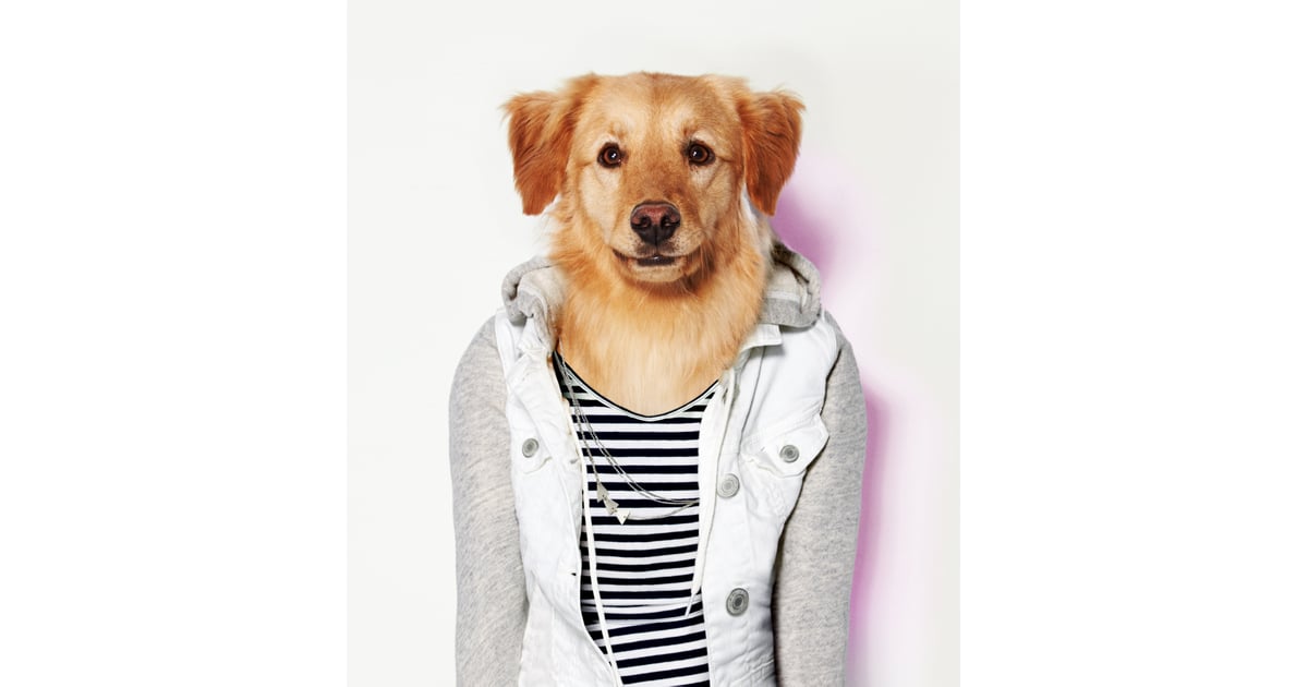 Bonnie American Eagle Dog Clothes Line POPSUGAR Fashion Photo 14