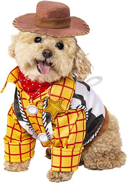 Woody Dog Halloween Costume
